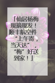 仙居杨梅现摘现发！顺丰航空件“上午寄，当天达”，“梅”好送到家！