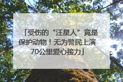 受伤的“汪星人”竟是保护动物！无为警民上演70公里爱心接力