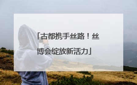 古都携手丝路！丝博会绽放新活力