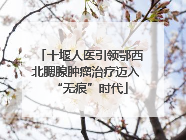 十堰人医引领鄂西北腮腺肿瘤治疗迈入“无痕”时代