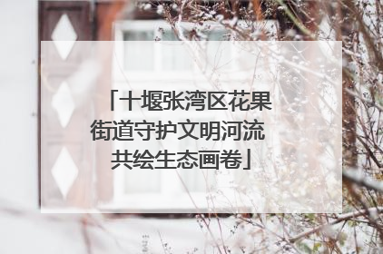 十堰张湾区花果街道守护文明河流 共绘生态画卷