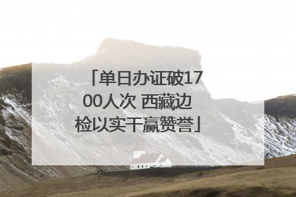 单日办证破1700人次 西藏边检以实干赢赞誉