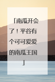 南瓜开会了！平谷有个可可爱爱的南瓜王国