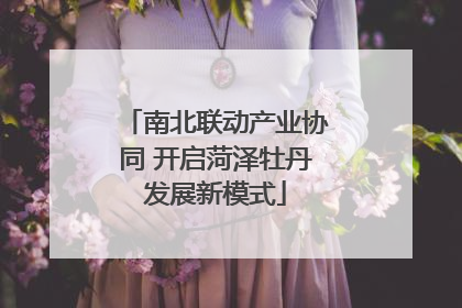 南北联动产业协同 开启菏泽牡丹发展新模式