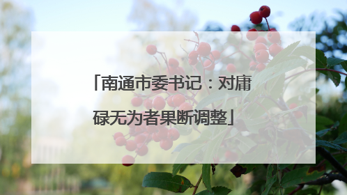 南通市委书记：对庸碌无为者果断调整