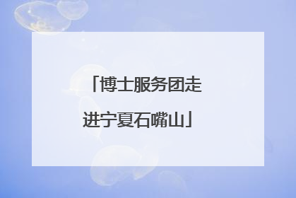 博士服务团走进宁夏石嘴山