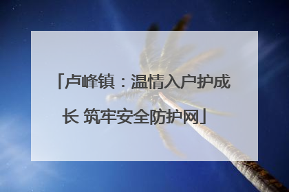 卢峰镇：温情入户护成长 筑牢安全防护网