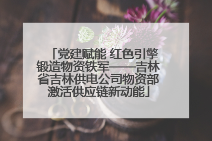 党建赋能 红色引擎锻造物资铁军——吉林省吉林供电公司物资部激活供应链新动能