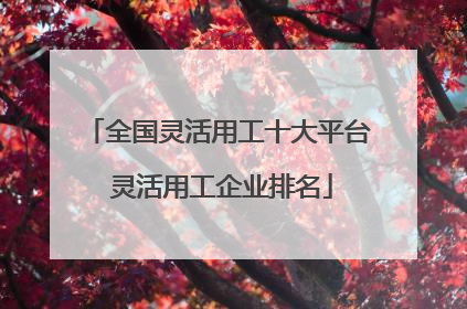 全国灵活用工十大平台 灵活用工企业排名