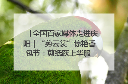 全国百家媒体走进庆阳｜“剪云裳”惊艳香包节：剪纸跃上华服 非遗焕发新彩