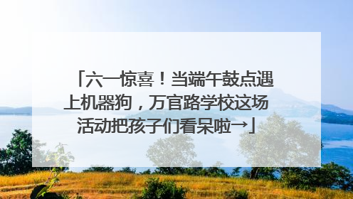 六一惊喜！当端午鼓点遇上机器狗，万官路学校这场活动把孩子们看呆啦→