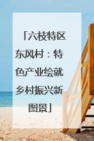 六枝特区东风村：特色产业绘就乡村振兴新图景