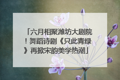 六月相聚潍坊大剧院！舞蹈诗剧《只此青绿》再掀宋韵美学热潮