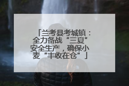 兰考县考城镇：全力备战“三夏”安全生产，确保小麦“丰收在仓”