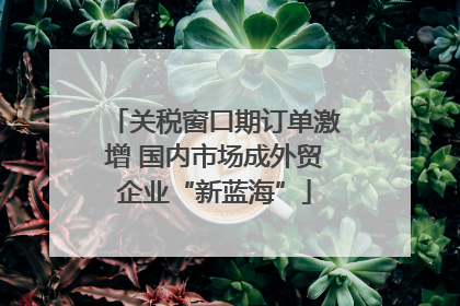 关税窗口期订单激增 国内市场成外贸企业“新蓝海”