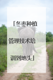冬枣种植管理技术培训到地头