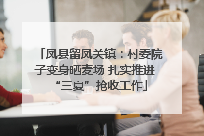 凤县留凤关镇：村委院子变身晒麦场 扎实推进“三夏”抢收工作