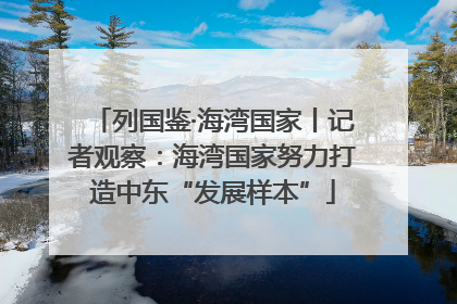 列国鉴·海湾国家丨记者观察：海湾国家努力打造中东“发展样本”