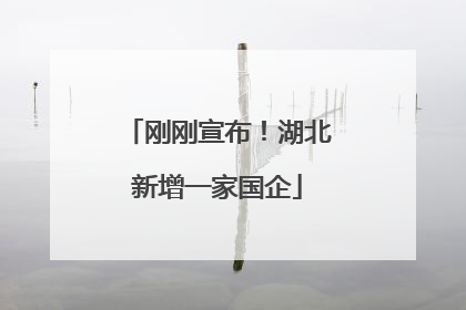 刚刚宣布！湖北新增一家国企