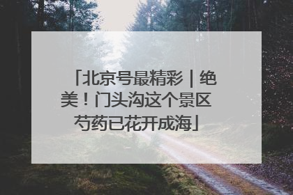 北京号最精彩｜绝美！门头沟这个景区芍药已花开成海