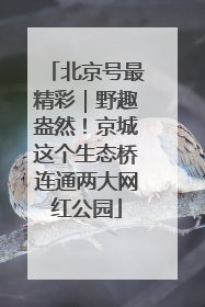 北京号最精彩｜野趣盎然！京城这个生态桥连通两大网红公园
