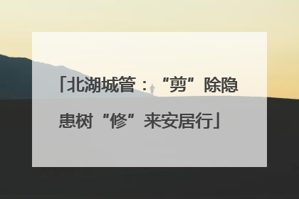 北湖城管：“剪”除隐患树“修”来安居行