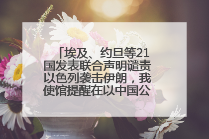 埃及、约旦等21国发表联合声明谴责以色列袭击伊朗，我使馆提醒在以中国公民尽快陆路离境