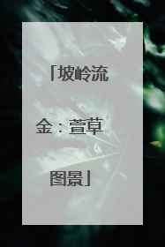 坡岭流金：萱草图景