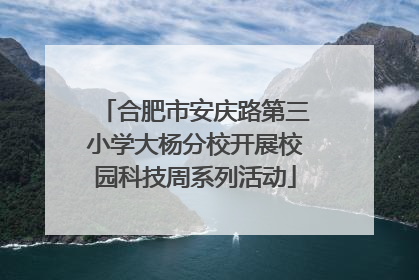 合肥市安庆路第三小学大杨分校开展校园科技周系列活动
