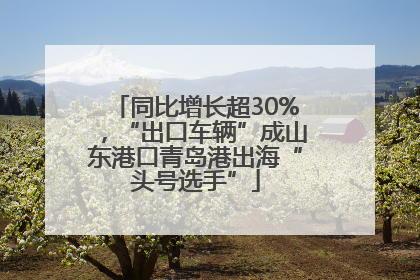 同比增长超30%，“出口车辆”成山东港口青岛港出海“头号选手”