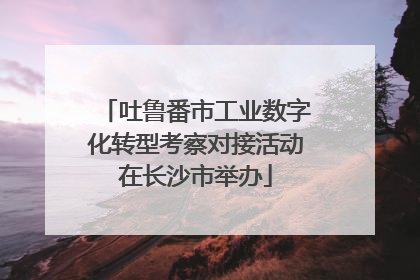 吐鲁番市工业数字化转型考察对接活动在长沙市举办