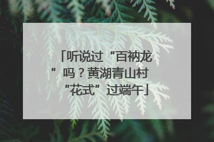 听说过“百衲龙”吗？黄湖青山村“花式”过端午