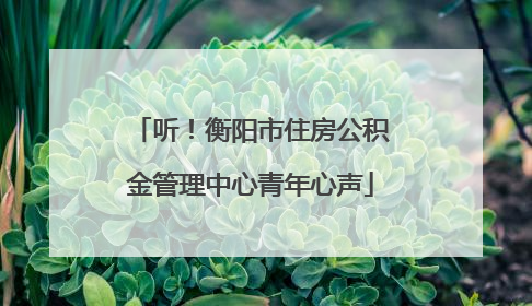 听！衡阳市住房公积金管理中心青年心声