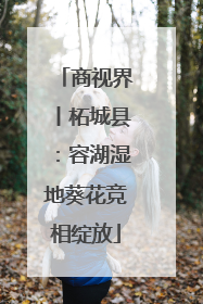 商视界丨柘城县：容湖湿地葵花竞相绽放