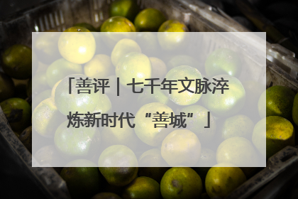 善评｜七千年文脉淬炼新时代“善城”