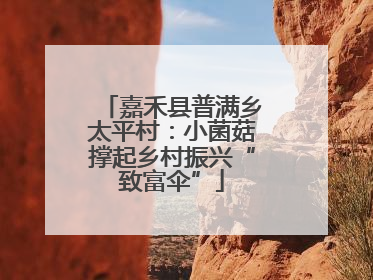 嘉禾县普满乡太平村：小菌菇撑起乡村振兴“致富伞”