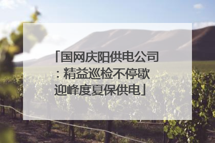 国网庆阳供电公司：精益巡检不停歇 迎峰度夏保供电