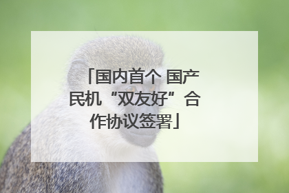 国内首个 国产民机“双友好”合作协议签署