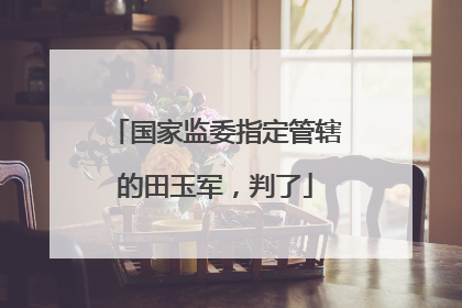 国家监委指定管辖的田玉军，判了