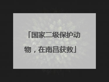 国家二级保护动物，在南昌获救
