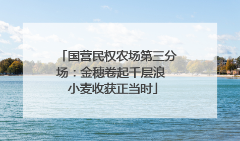 国营民权农场第三分场：金穗卷起千层浪 小麦收获正当时