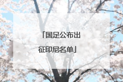 国足公布出征印尼名单