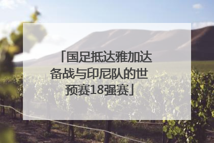 国足抵达雅加达备战与印尼队的世预赛18强赛