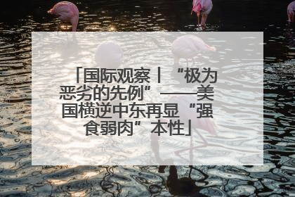 国际观察丨“极为恶劣的先例”——美国横逆中东再显“强食弱肉”本性