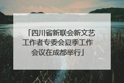 四川省新联会新文艺工作者专委会夏季工作会议在成都举行