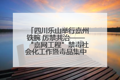 四川乐山举行嘉州铁腕 厉禁共治——“嘉网工程”禁毒社会化工作暨毒品集中销毁启动仪式