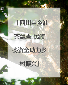 四川苗乡油茶飘香 民族类资金助力乡村振兴