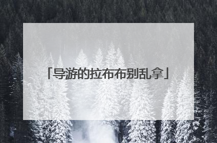 导游的拉布布别乱拿