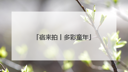 宿来拍丨多彩童年