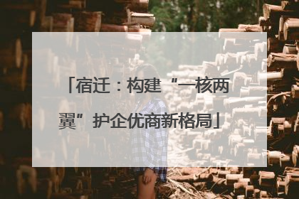 宿迁：构建“一核两翼”护企优商新格局